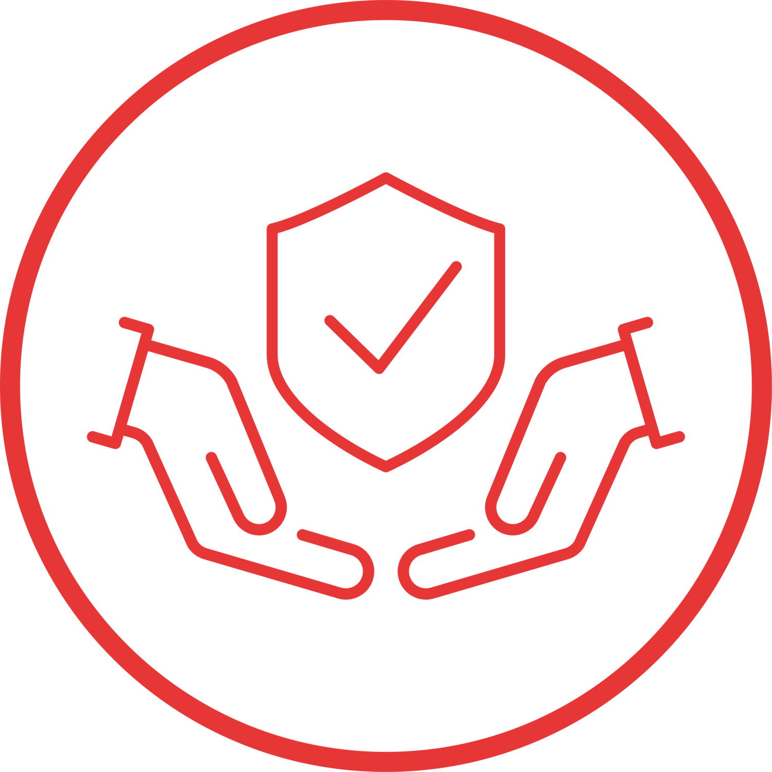 icon - /uploads/s/f/s/w/fswzwxr3lhbb/img/full_AEfUmTFA.png